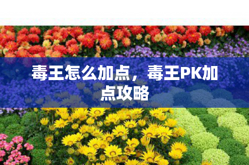 毒王怎么加点，毒王PK加点攻略