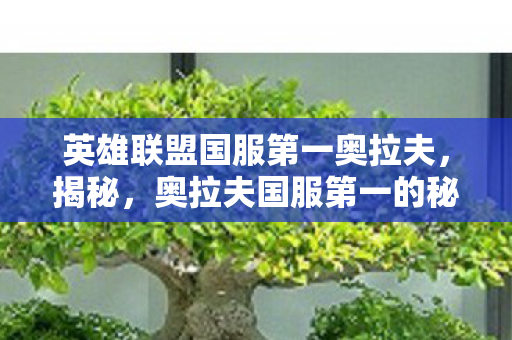 英雄联盟国服第一奥拉夫，揭秘，奥拉夫国服第一的秘密