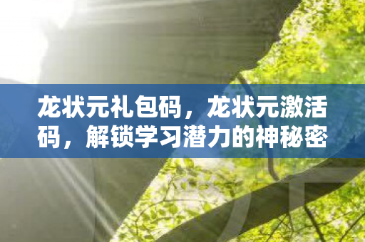 龙状元礼包码，龙状元激活码，解锁学习潜力的神秘密钥