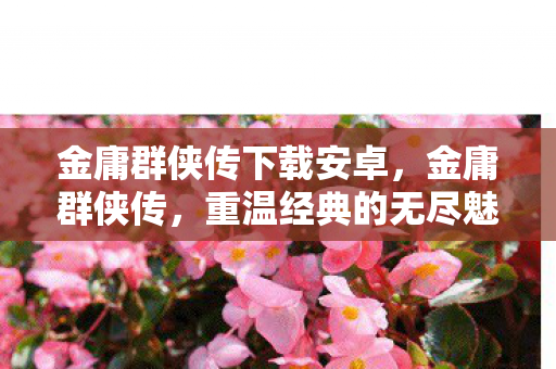 金庸群侠传下载安卓，金庸群侠传，重温经典的无尽魅力与下载指南