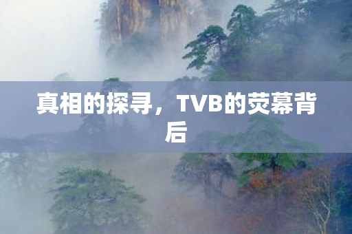 真相的探寻，TVB的荧幕背后