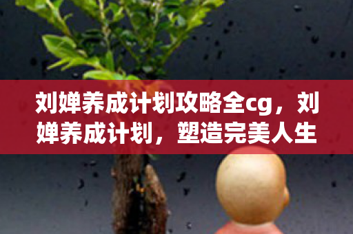 刘婵养成计划攻略全cg，刘婵养成计划，塑造完美人生的关键步骤