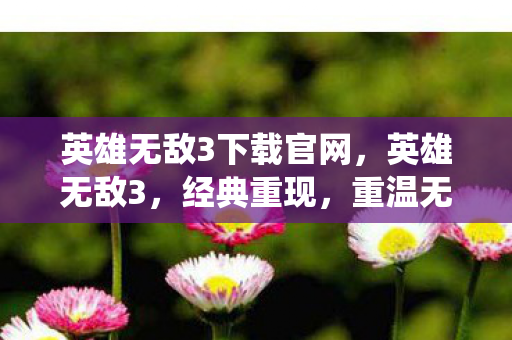 英雄无敌3下载官网，英雄无敌3，经典重现，重温无尽战役的下载之旅