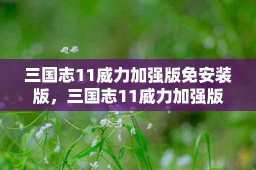 三国志11威力加强版免安装版，三国志11威力加强版下载指南及游戏概述