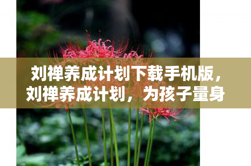 刘禅养成计划下载手机版，刘禅养成计划，为孩子量身定制的成长指南