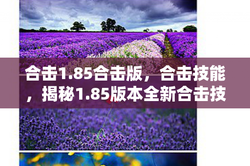 合击1.85合击版，合击技能，揭秘1.85版本全新合击技能，掌握战斗新姿势！