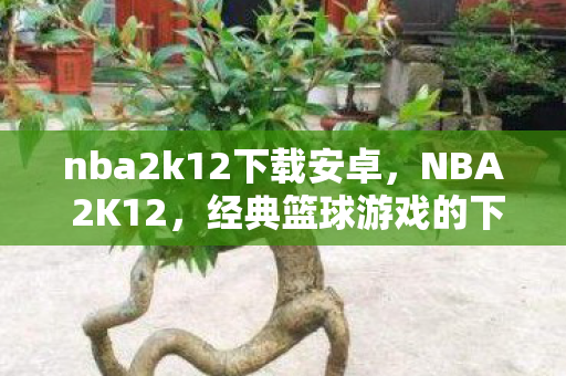 nba2k12下载安卓，NBA 2K12，经典篮球游戏的下载与体验