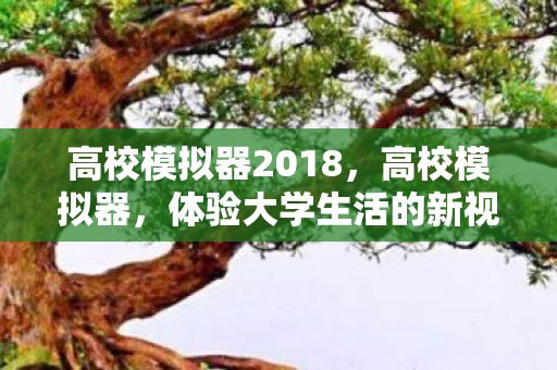 高校模拟器2018，高校模拟器，体验大学生活的新视角