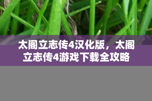 太阁立志传4汉化版，太阁立志传4游戏下载全攻略