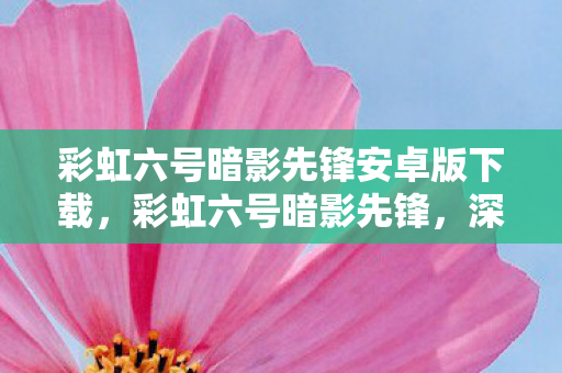 彩虹六号暗影先锋安卓版下载，彩虹六号暗影先锋，深入解析游戏魅力与战术策略