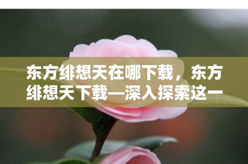 东方绯想天在哪下载，东方绯想天下载—深入探索这一经典游戏的魅力与历程