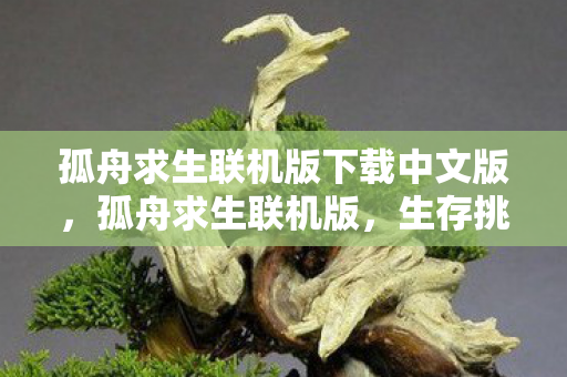 孤舟求生联机版下载中文版，孤舟求生联机版，生存挑战的新篇章