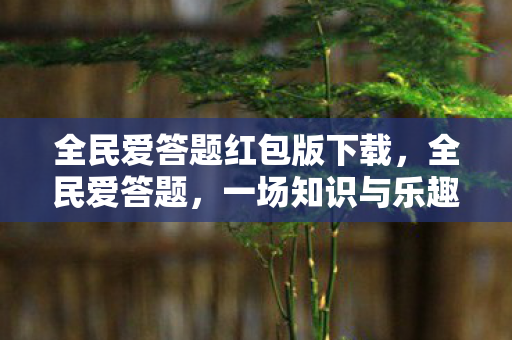 全民爱答题红包版下载，全民爱答题，一场知识与乐趣的盛宴
