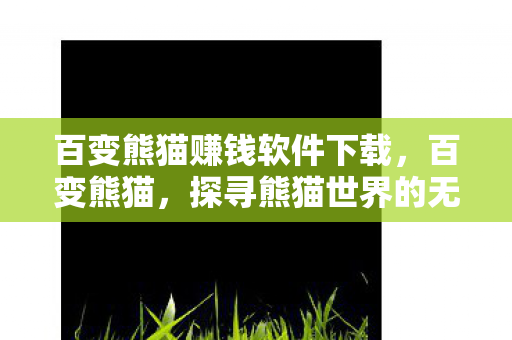 百变熊猫赚钱软件下载，百变熊猫，探寻熊猫世界的无限魅力