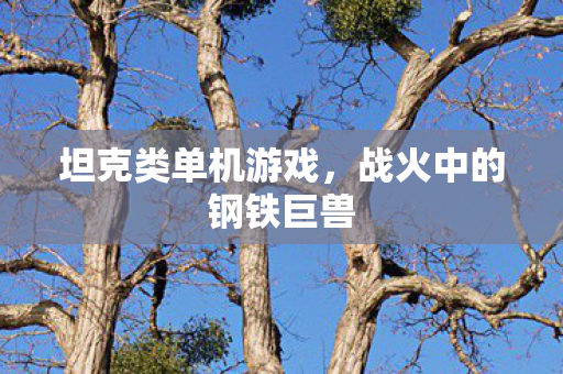 坦克类单机游戏，战火中的钢铁巨兽