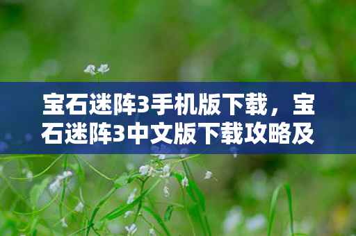 宝石迷阵3手机版下载，宝石迷阵3中文版下载攻略及游戏详解