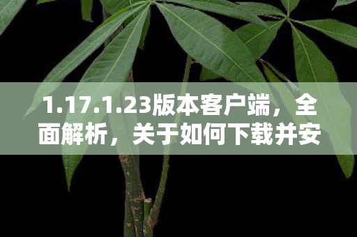 1.17.1.23版本客户端，全面解析，关于如何下载并安装最新版本的1.76客户端