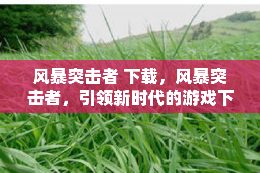 风暴突击者 下载，风暴突击者，引领新时代的游戏下载体验