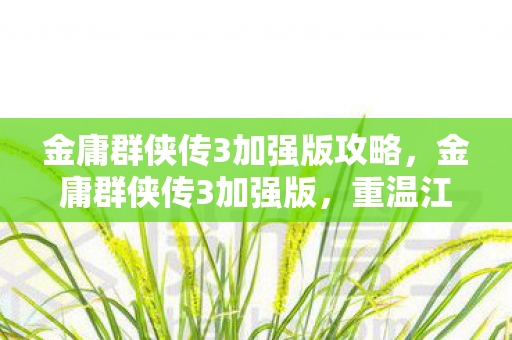 金庸群侠传3加强版攻略，金庸群侠传3加强版，重温江湖梦，英雄再起