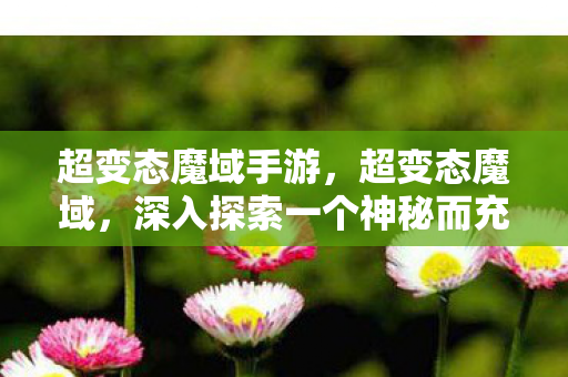 超变态魔域手游，超变态魔域，深入探索一个神秘而充满挑战的奇幻世界