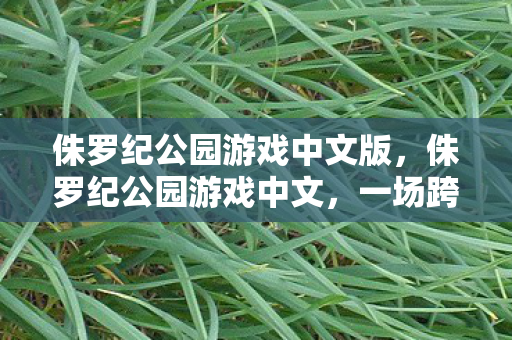 侏罗纪公园游戏中文版，侏罗纪公园游戏中文，一场跨越时空的探险之旅