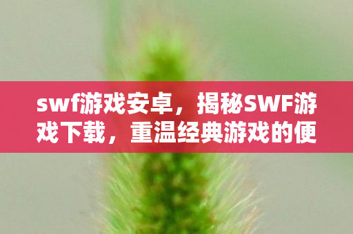 swf游戏安卓，揭秘SWF游戏下载，重温经典游戏的便捷途径