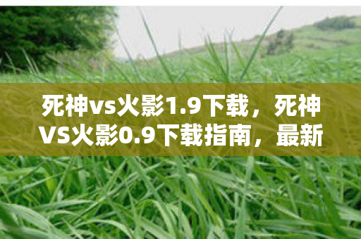 死神vs火影1.9下载，死神VS火影0.9下载指南，最新游戏版本体验攻略