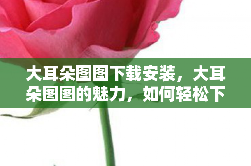 大耳朵图图下载安装，大耳朵图图的魅力，如何轻松下载并体验这一独特的资源？