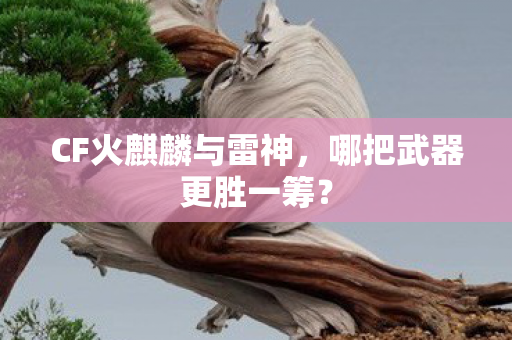 CF火麒麟与雷神，哪把武器更胜一筹？