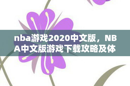 nba游戏2020中文版，NBA中文版游戏下载攻略及体验分享
