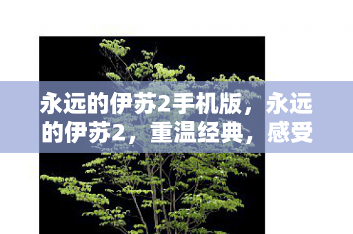 永远的伊苏2手机版，永远的伊苏2，重温经典，感受无尽魅力