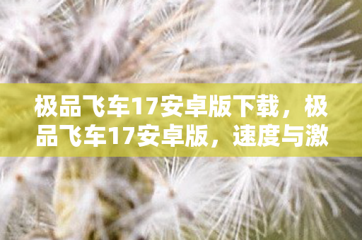 极品飞车17安卓版下载，极品飞车17安卓版，速度与激情的完美融合