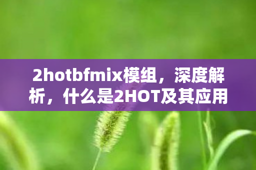 2hotbfmix模组，深度解析，什么是2HOT及其应用场景