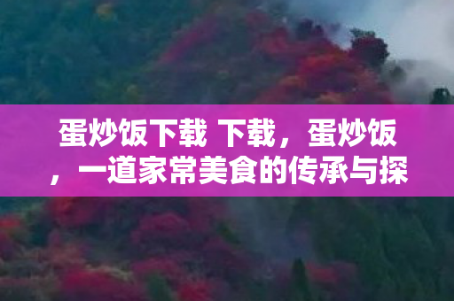 蛋炒饭下载 下载，蛋炒饭，一道家常美食的传承与探索