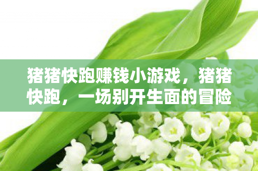 猪猪快跑赚钱小游戏，猪猪快跑，一场别开生面的冒险之旅