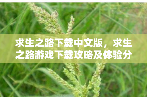 求生之路下载中文版，求生之路游戏下载攻略及体验分享