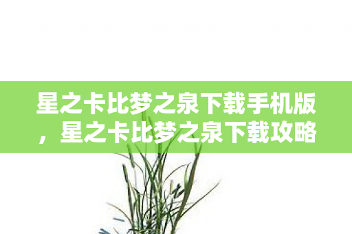 星之卡比梦之泉下载手机版，星之卡比梦之泉下载攻略及游戏介绍