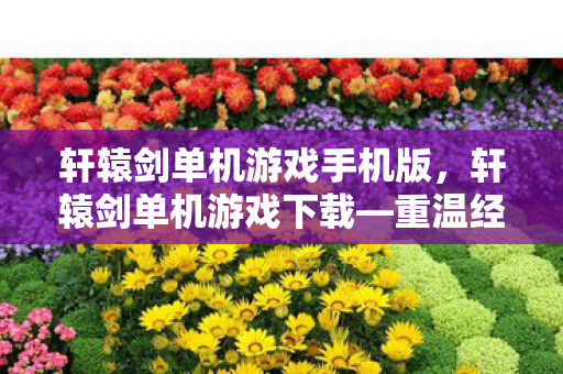 轩辕剑单机游戏手机版，轩辕剑单机游戏下载—重温经典，探索奇幻世界