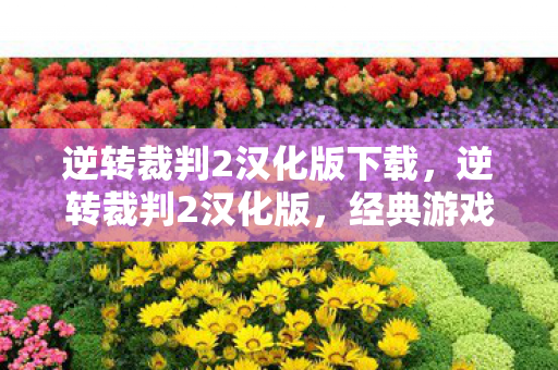 逆转裁判2汉化版下载，逆转裁判2汉化版，经典游戏的新生命