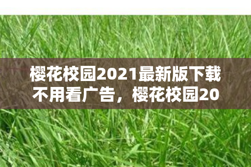 樱花校园2021最新版下载不用看广告，樱花校园2021最新版下载攻略及游戏初探