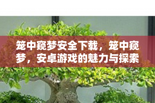 笼中窥梦安全下载，笼中窥梦，安卓游戏的魅力与探索