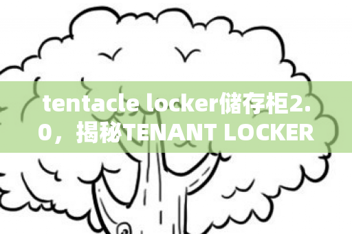 tentacle locker储存柜2.0，揭秘TENANT LOCKER储存柜，如何巧妙利用空间存储物品？