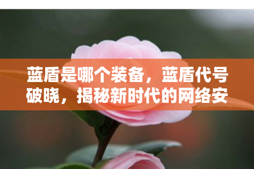 蓝盾是哪个装备，蓝盾代号破晓，揭秘新时代的网络安全挑战与应对策略