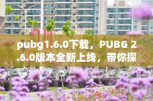 pubg1.6.0下载，PUBG 2.6.0版本全新上线，带你探索更多精彩内容！