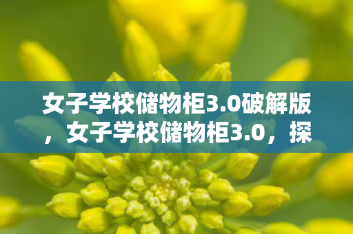 女子学校储物柜3.0破解版，女子学校储物柜3.0，探索秘密与成长的故事