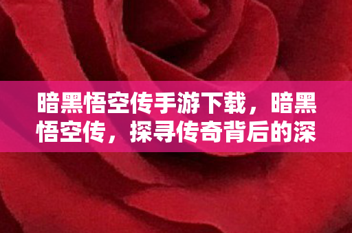 暗黑悟空传手游下载，暗黑悟空传，探寻传奇背后的深层意义