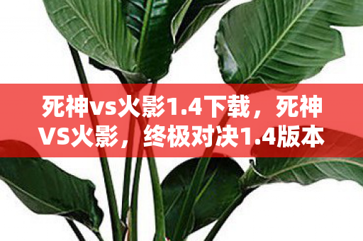 死神vs火影1.4下载，死神VS火影，终极对决1.4版本—谁将成为不灭的传奇？