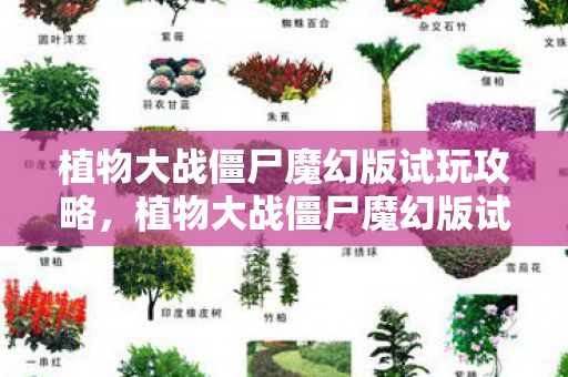 植物大战僵尸魔幻版试玩攻略，植物大战僵尸魔幻版试玩体验报告