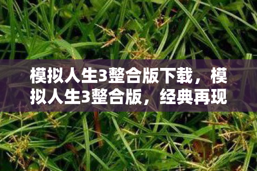 模拟人生3整合版下载，模拟人生3整合版，经典再现，魅力不减当年