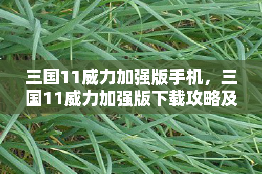三国11威力加强版手机，三国11威力加强版下载攻略及游戏介绍